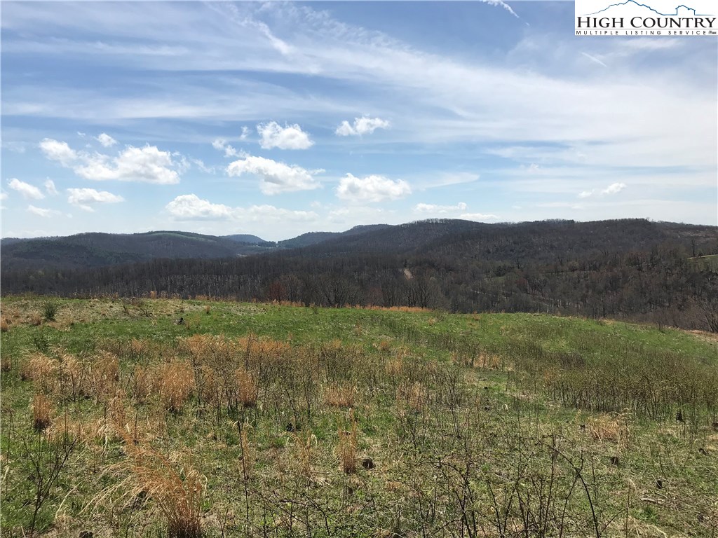 3351 Spicer Mountain Road Sparta, NC 28675 - Photo 13 of 25 Gallery Image 13
