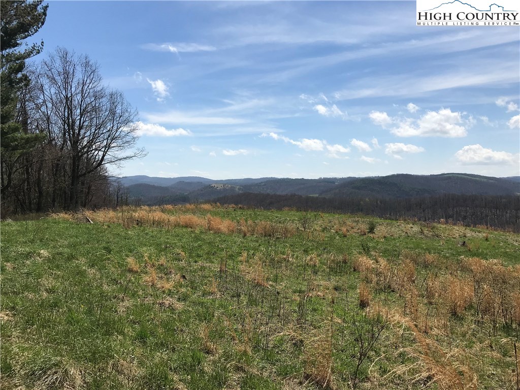 3351 Spicer Mountain Road Sparta, NC 28675 - Photo 14 of 25 Gallery Image 14