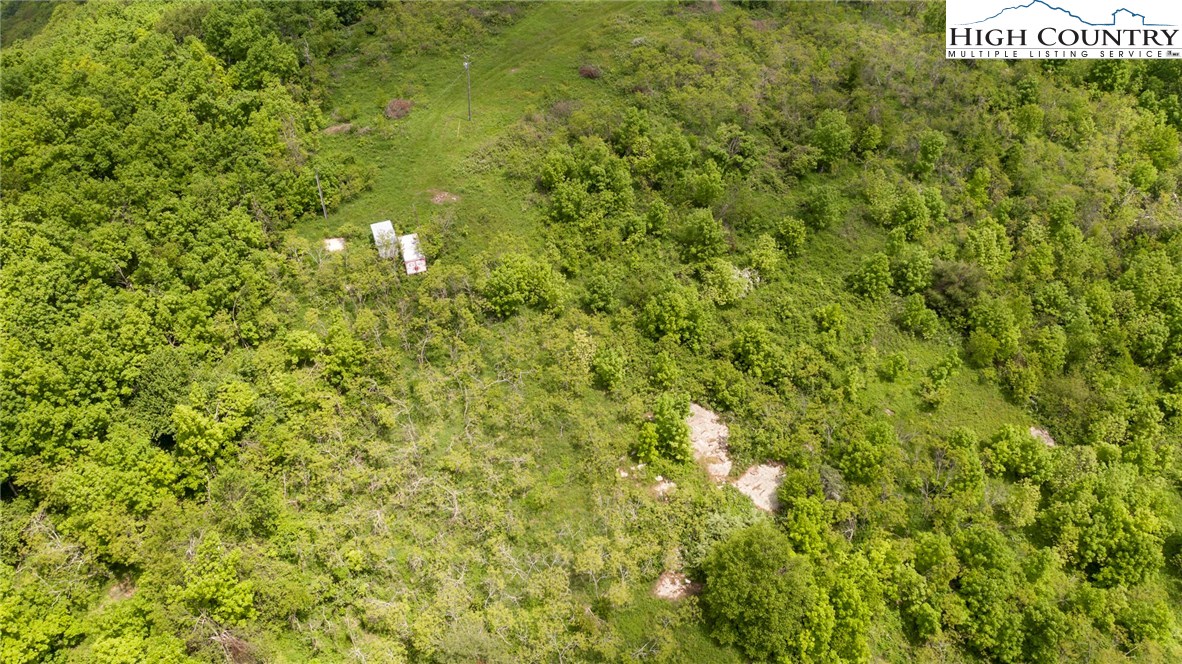3351 Spicer Mountain Road Sparta, NC 28675 - Photo 22 of 25 Gallery Image 22