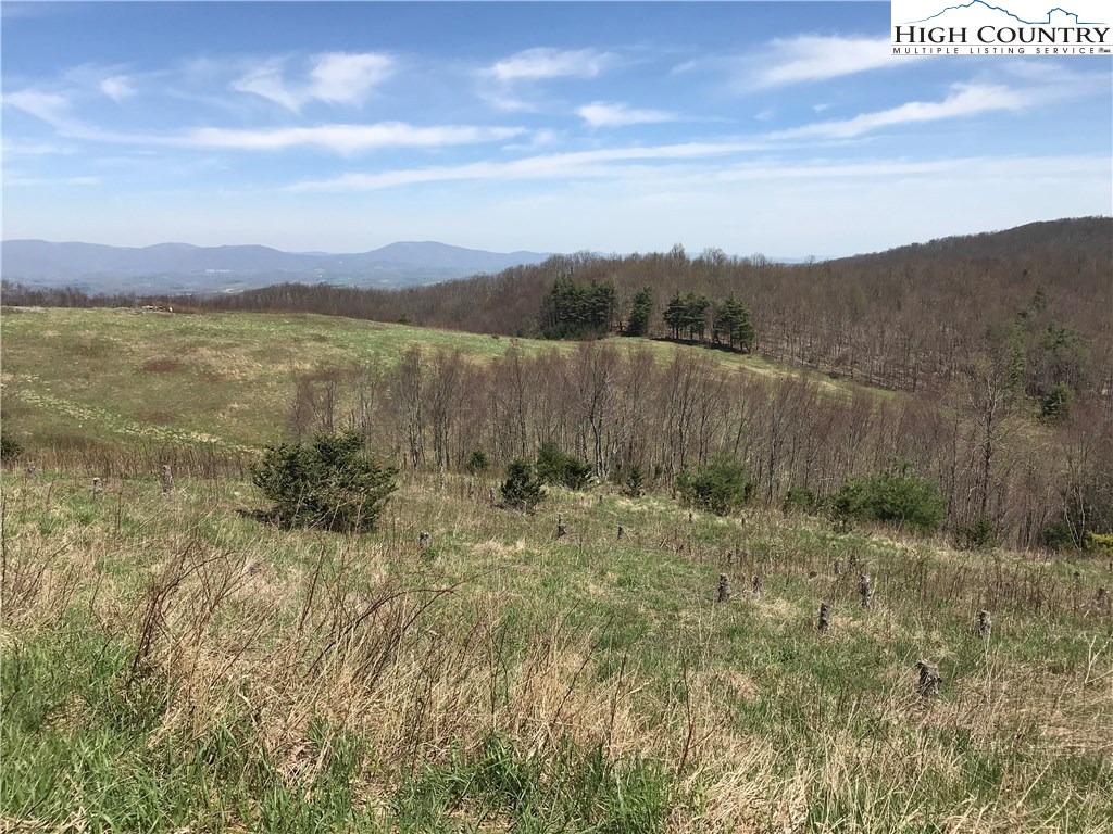 3351 Spicer Mountain Road Sparta, NC 28675 - Photo 3 of 25 Gallery Image 3