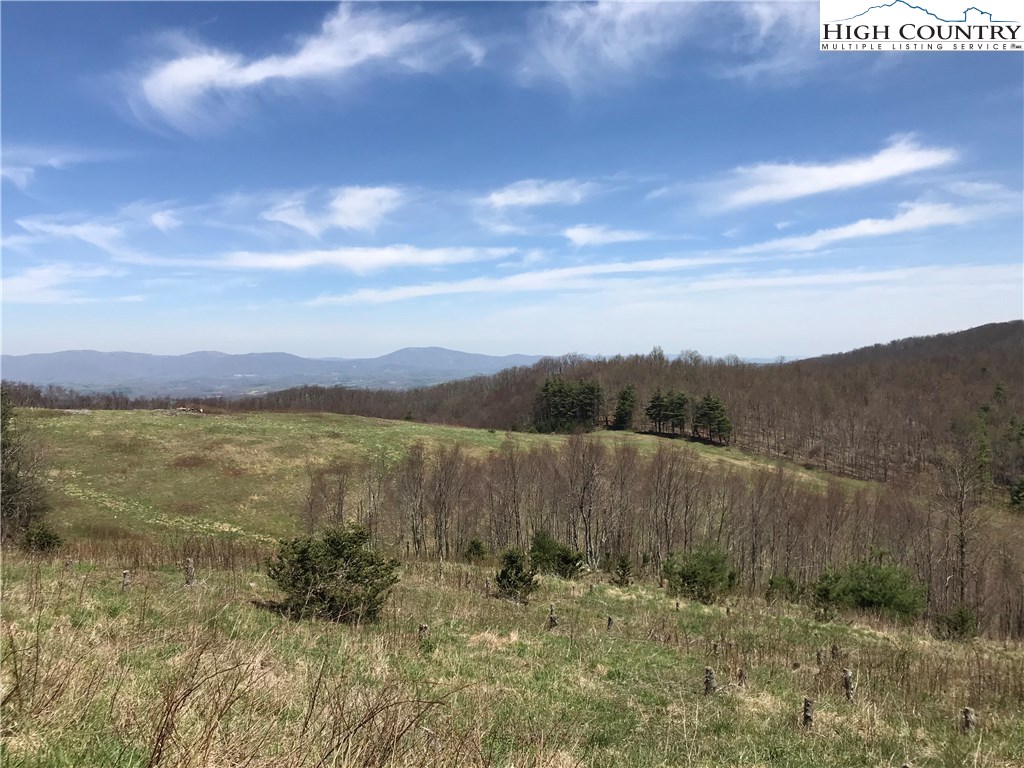 3351 Spicer Mountain Road Sparta, NC 28675 - Photo 8 of 25 Gallery Image 8