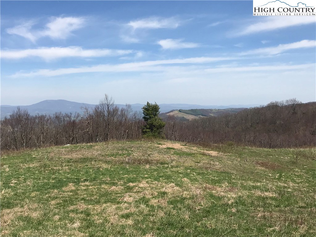 3351 Spicer Mountain Road Sparta, NC 28675 - Photo 9 of 25 Gallery Image 9