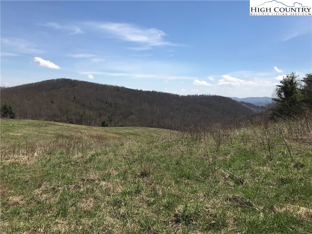3351 Spicer Mountain Road Sparta, NC 28675 - Photo 10 of 25 Gallery Image 10