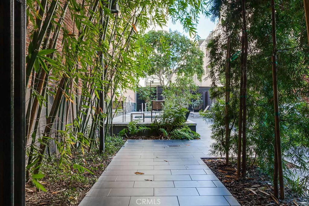 460 South Spring Street, Unit 1013 Los Angeles, CA 90013 - Photo 19 of 25 a view of a pathway with plants and large trees