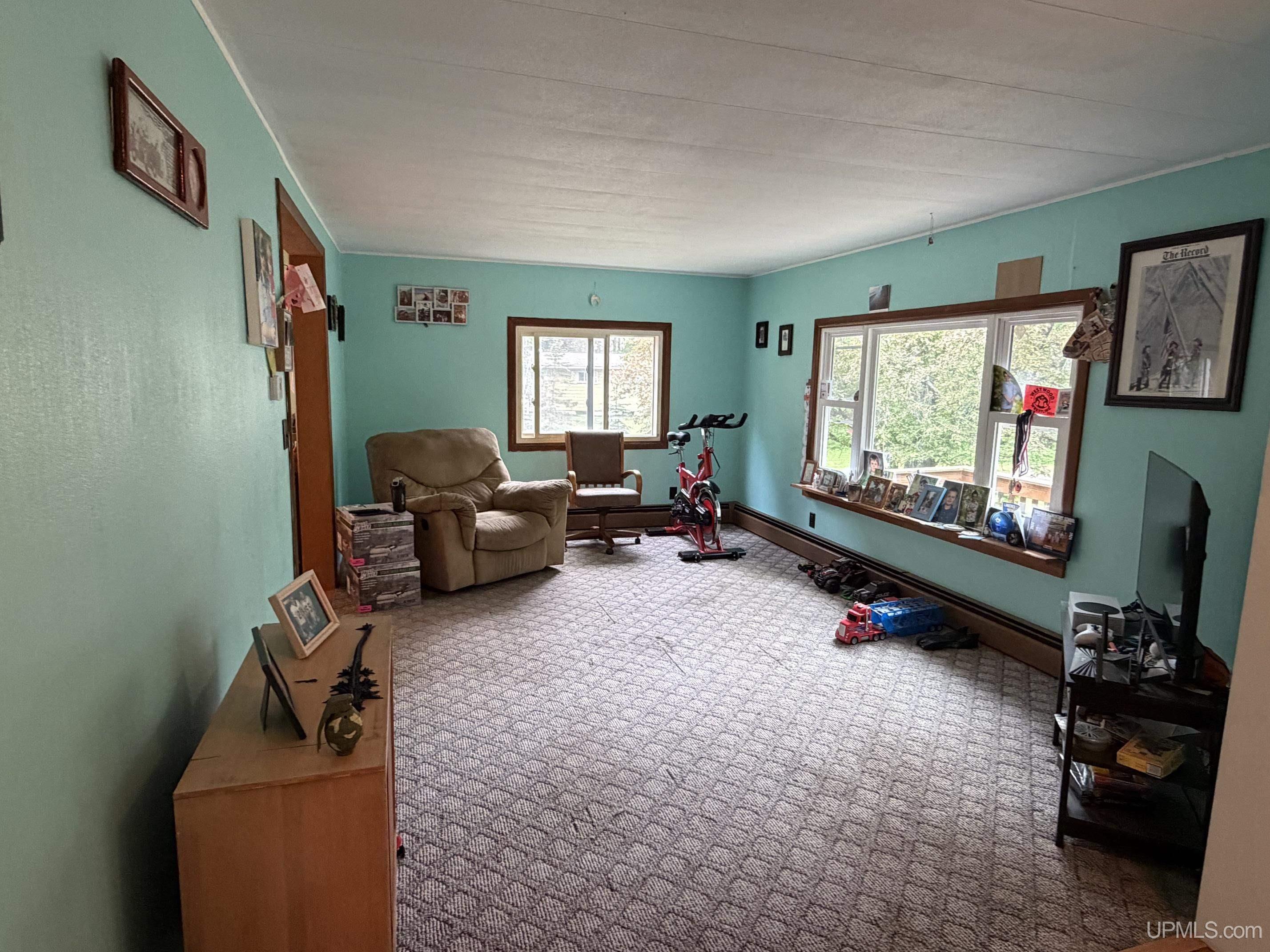 24797 Ruth Lake Road Michigamme, MI 49861 - Photo 13 of 38