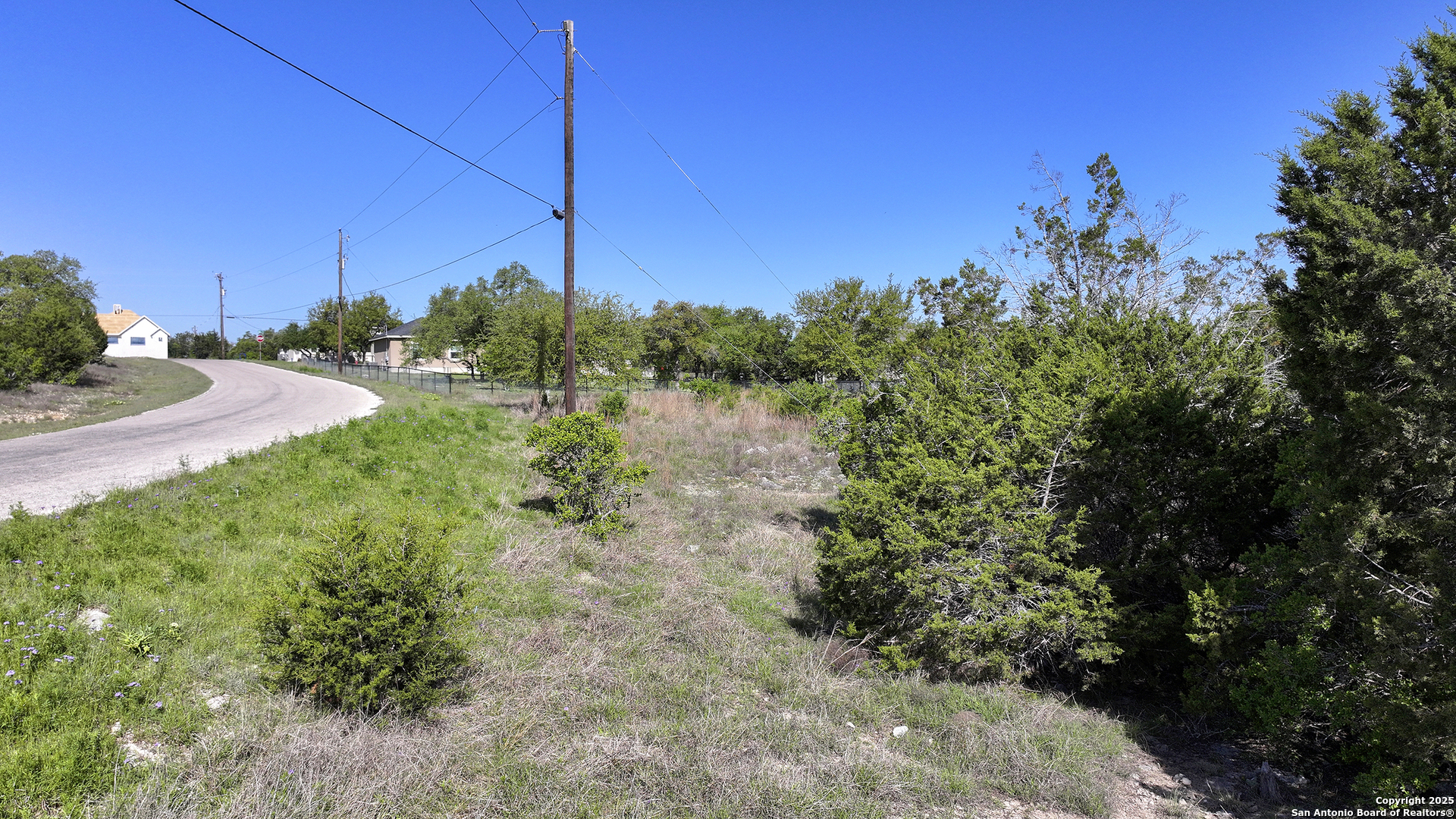 113 Alondra Lane Spring Branch, TX 78070 - Photo 13 of 25 a view of a yard with a tree