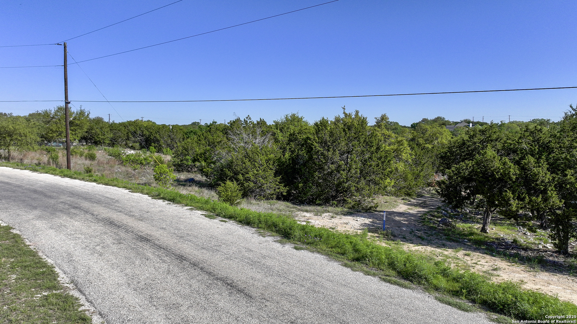 113 Alondra Lane Spring Branch, TX 78070 - Photo 14 of 25 a view of a bunch of trees