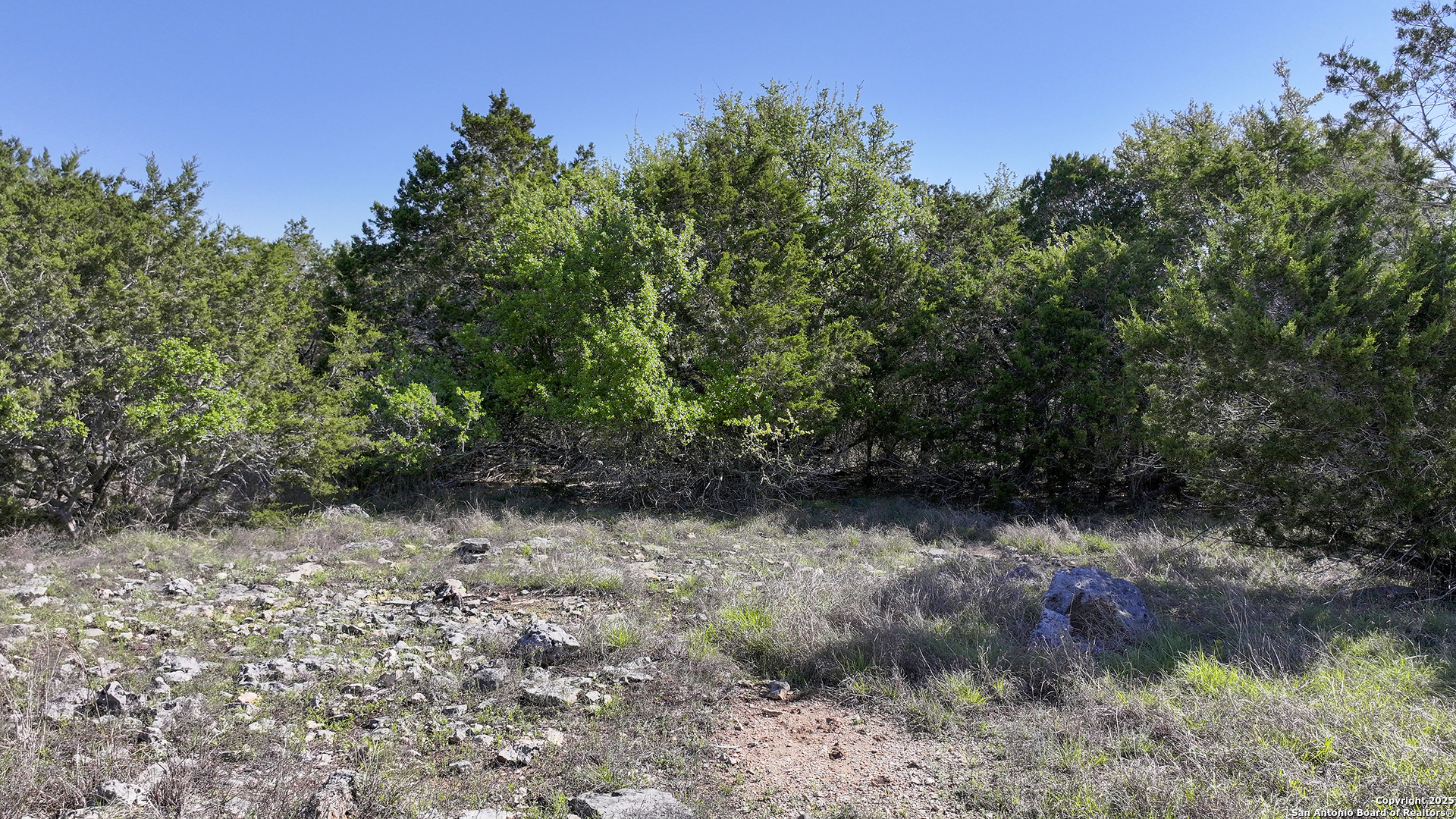 113 Alondra Lane Spring Branch, TX 78070 - Photo 15 of 25 a view of a yard with plants and trees