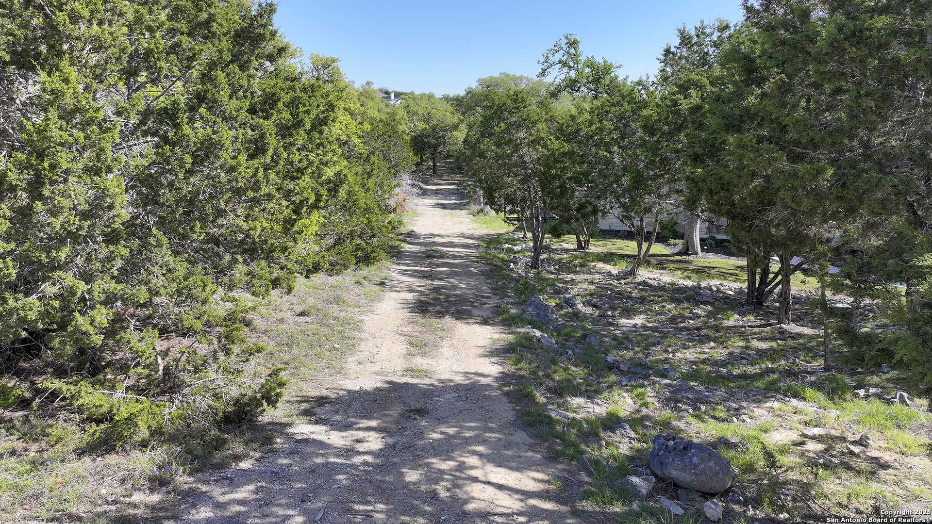 113 Alondra Lane Spring Branch, TX 78070 - Photo 17 of 25 a view of a yard with plants and a trees