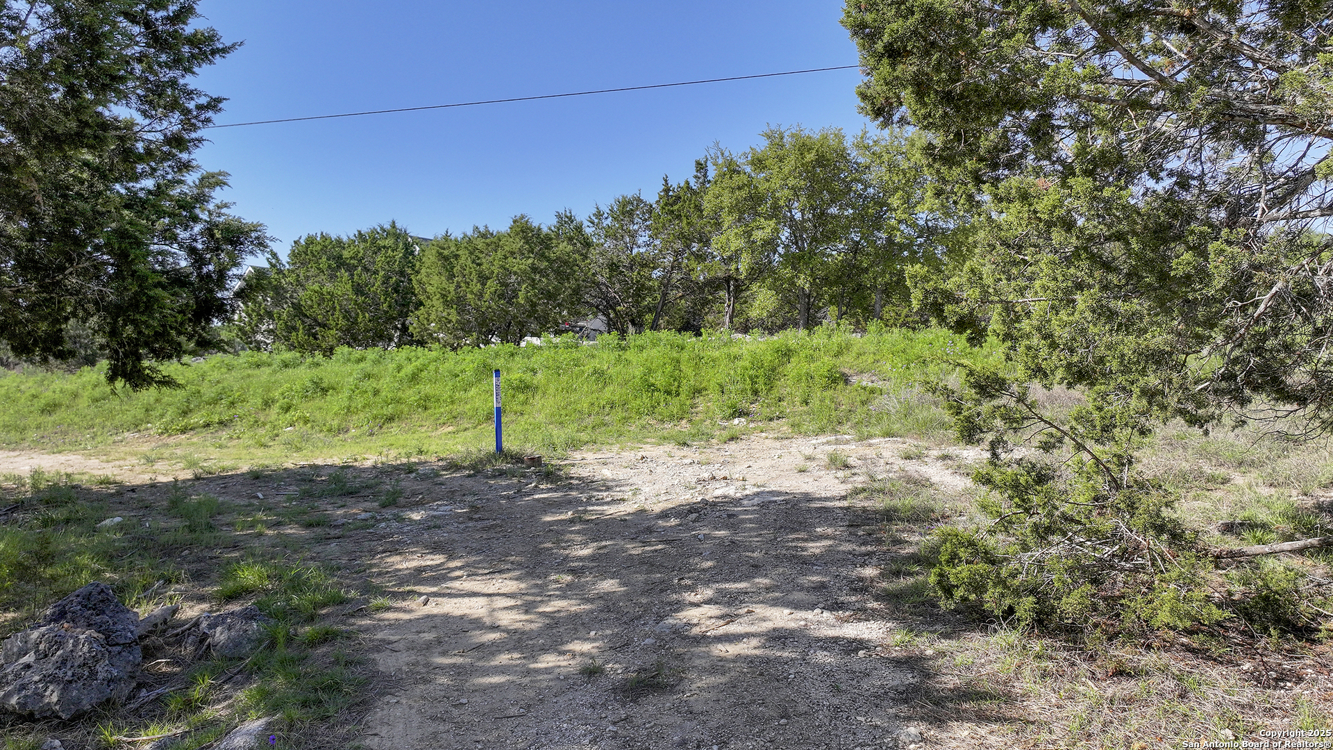113 Alondra Lane Spring Branch, TX 78070 - Photo 18 of 25 a view of a yard with a tree