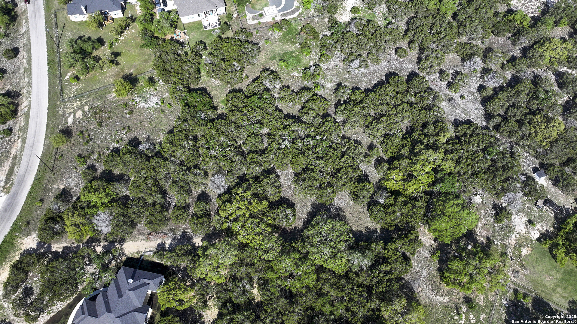 113 Alondra Lane Spring Branch, TX 78070 - Photo 20 of 25 a view of a garden with a plant