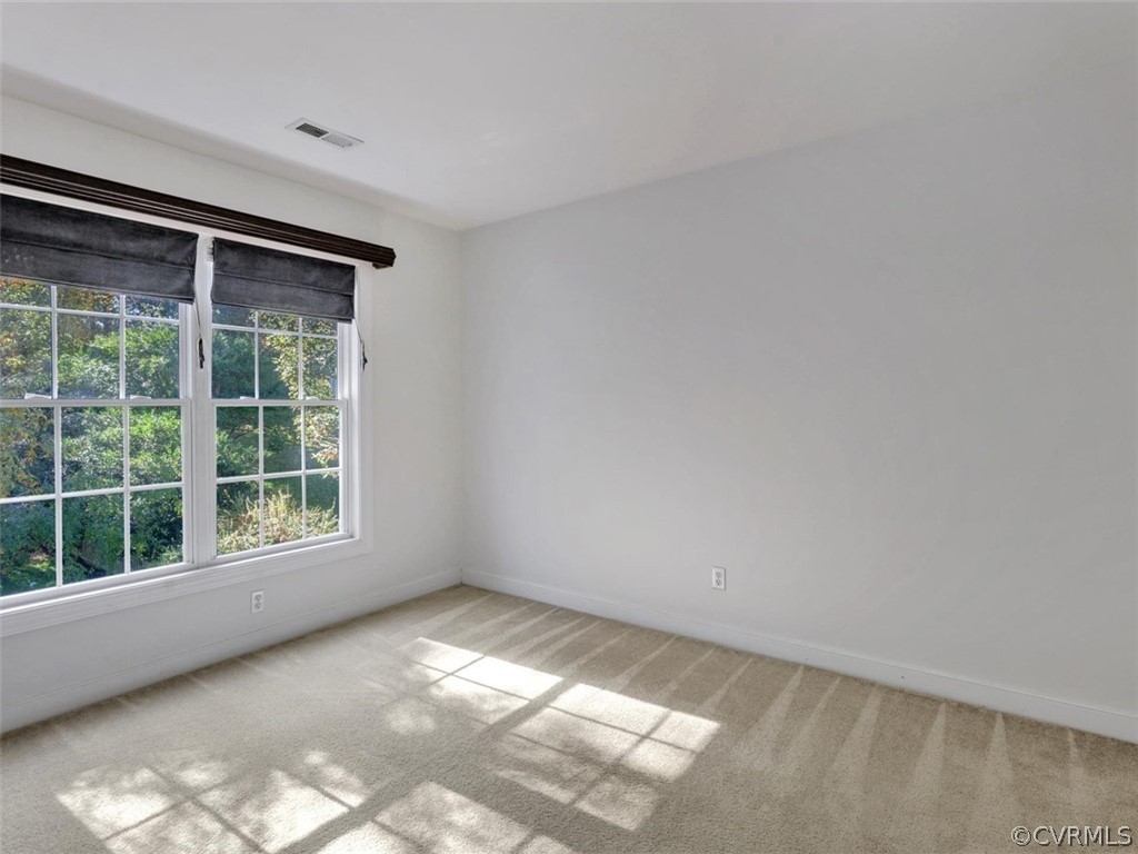 13531 Raftersridge Terrace Midlothian, VA 23113 - Photo 23 of 45 Gallery Image 23