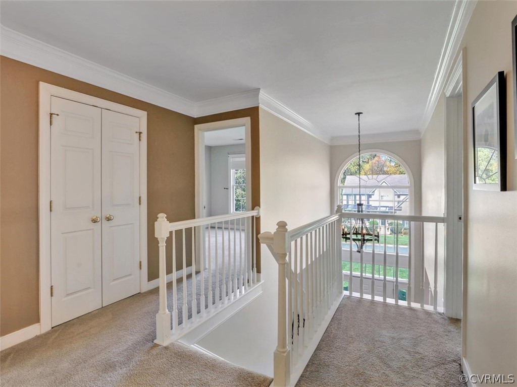 13531 Raftersridge Terrace Midlothian, VA 23113 - Photo 24 of 45 Gallery Image 24