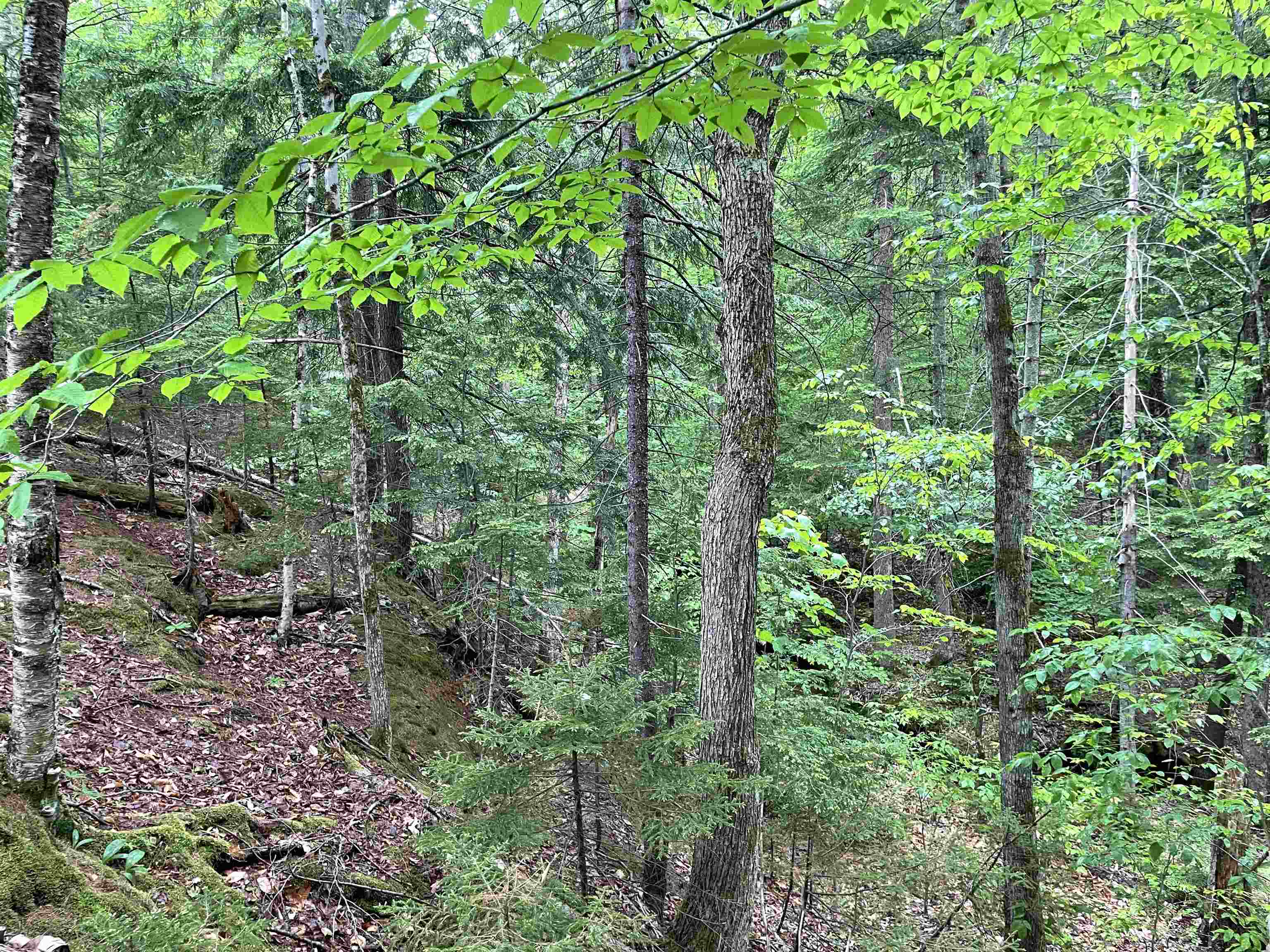 40 Hominy Pot Road New London, NH 03257 - Photo 9 of 10