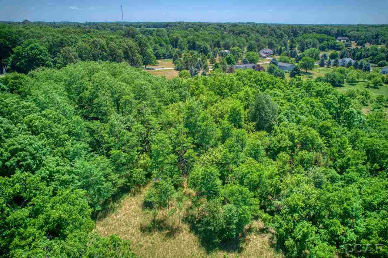 1000 East Valley Road Adrian, MI 49221 - Photo 12 of 18