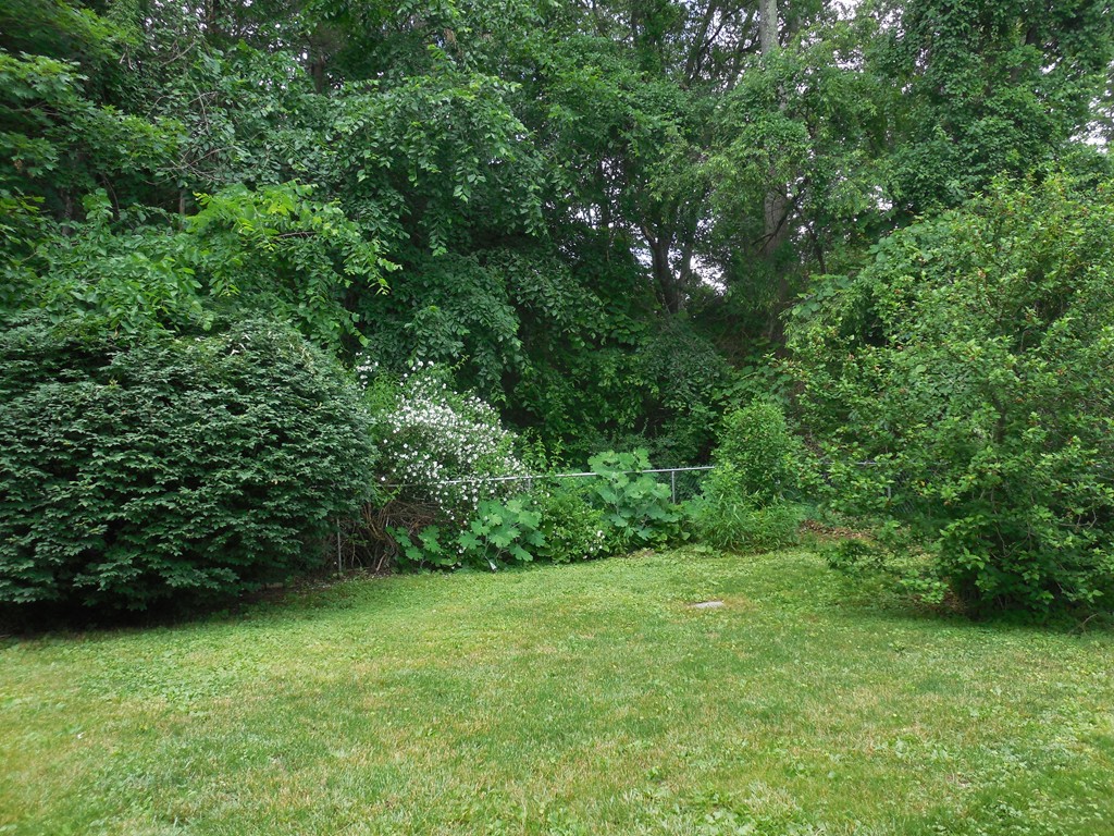 5 Howard Road Hudson, MA 01749 - Photo 18 of 20 Gallery Image 18