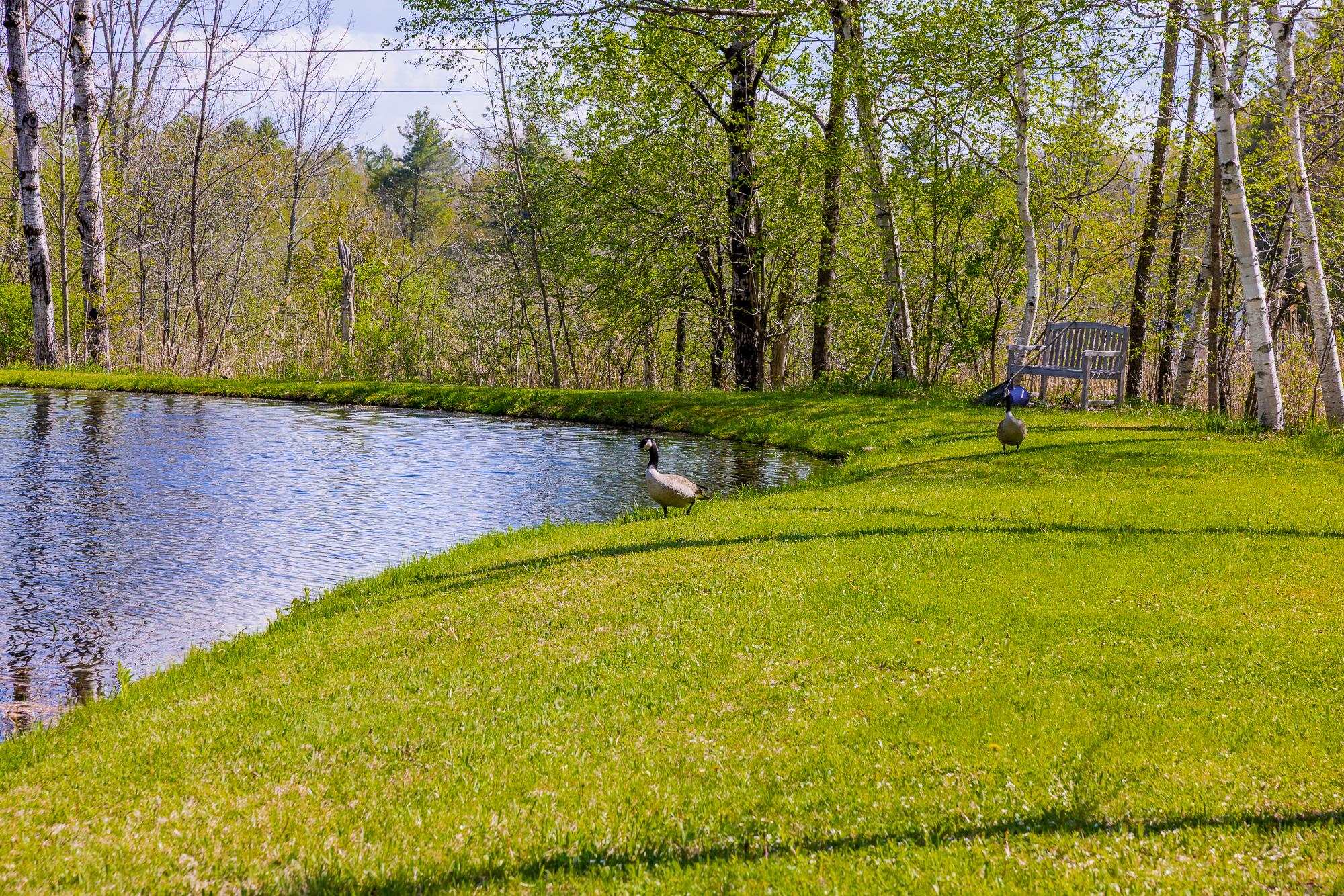 8 Laramie Road Hanover, NH 03750 - Photo 37 of 59