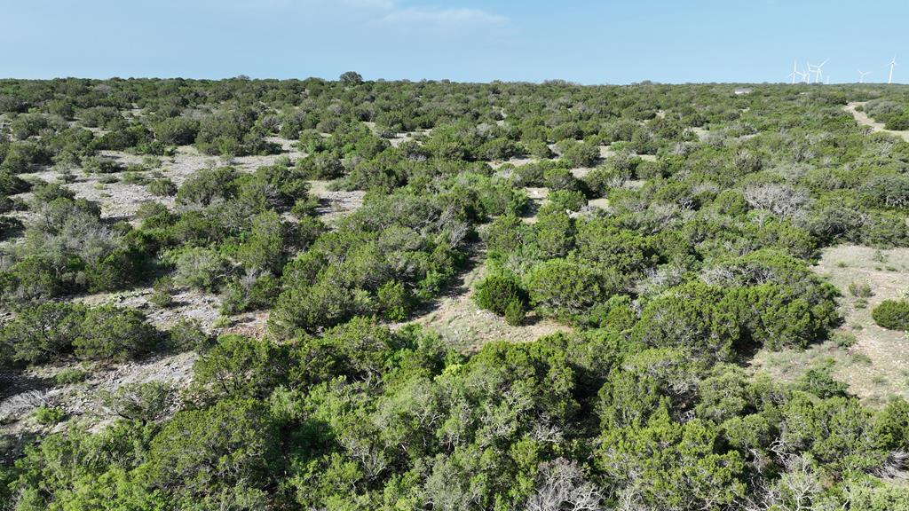 93 J S Murry Ranch Road Del Rio, TX 78840 - Photo 1 of 1
