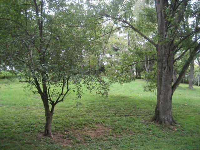 2068 Longbranch Road Union, KY 41091 - Photo 11 of 12 Gallery Image 11
