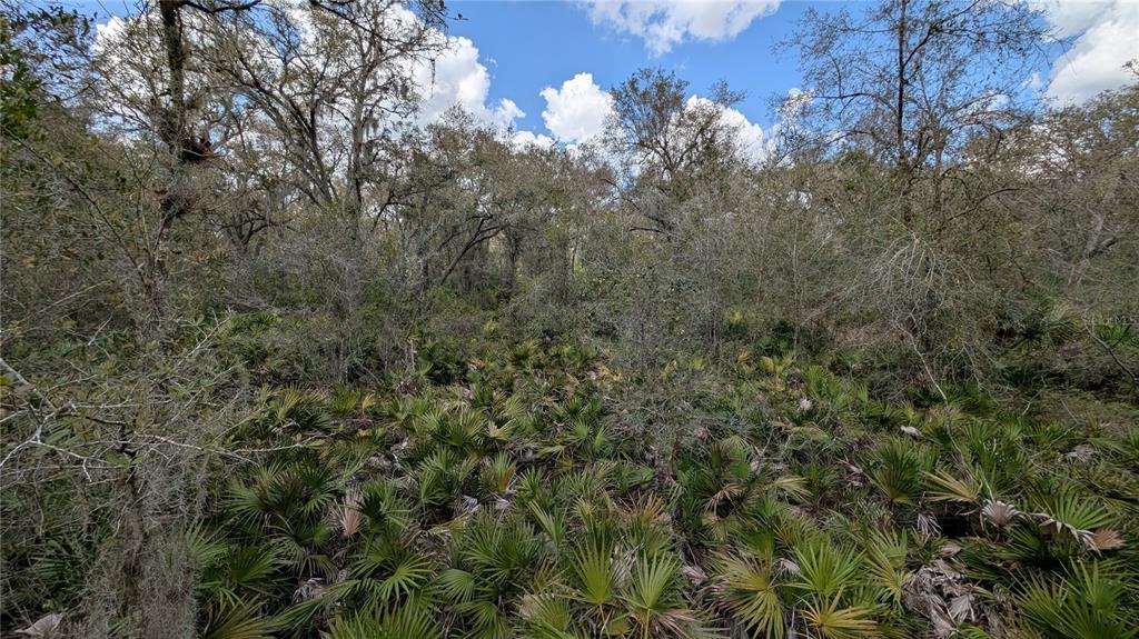Gillette Road Zolfo Springs, FL 33890 - Photo 30 of 86 Gallery Image 30