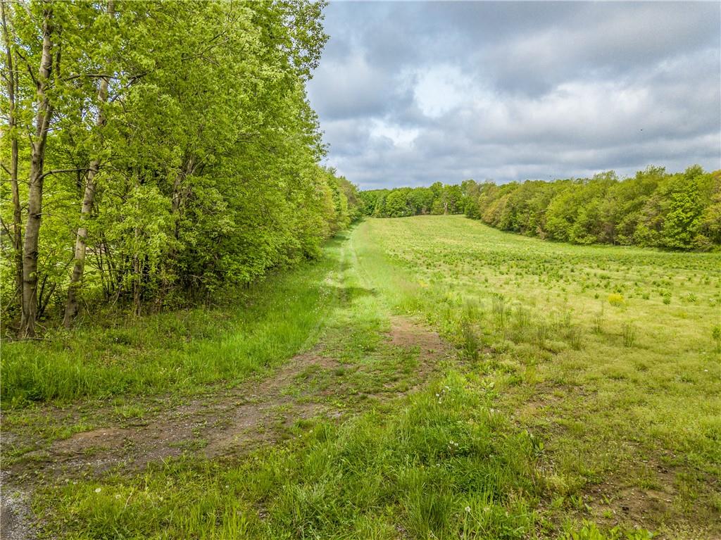 0 Allen Road Beaver Falls, PA 15010 - Photo 1 of 14