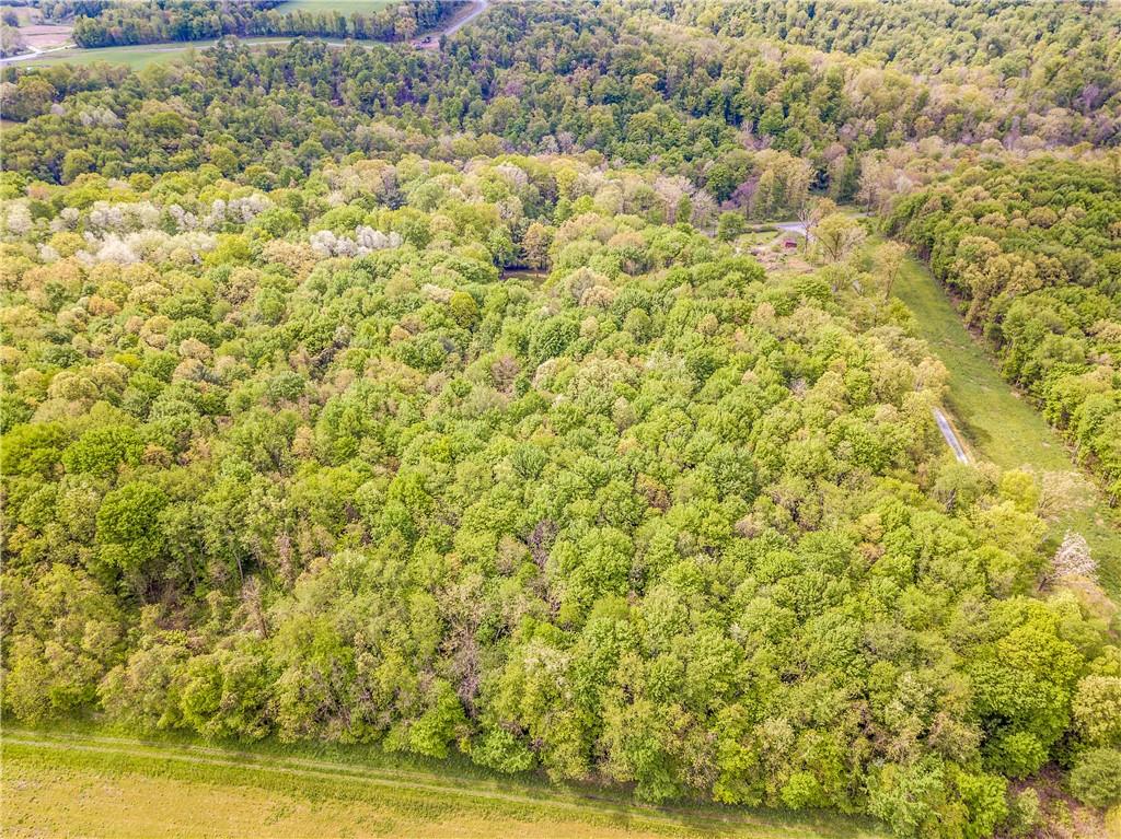 0 Allen Road Beaver Falls, PA 15010 - Photo 4 of 14