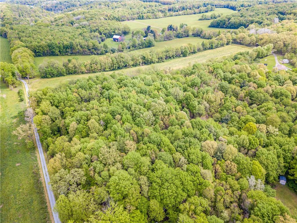 0 Allen Road Beaver Falls, PA 15010 - Photo 8 of 14