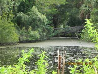 9701 Muller Road Fort Pierce, FL 34945 - Photo 17 of 19 Pond (North Side View)