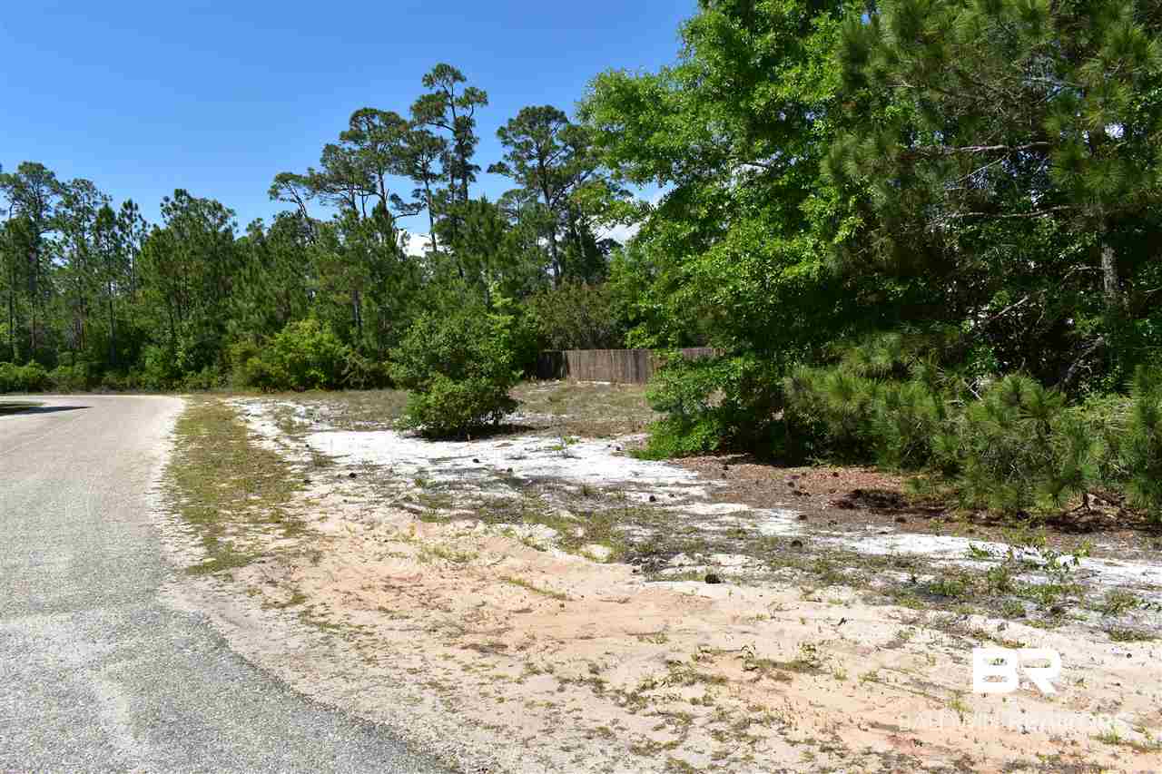 0 Harbor Road Orange Beach, AL 36561 - Photo 3 of 8