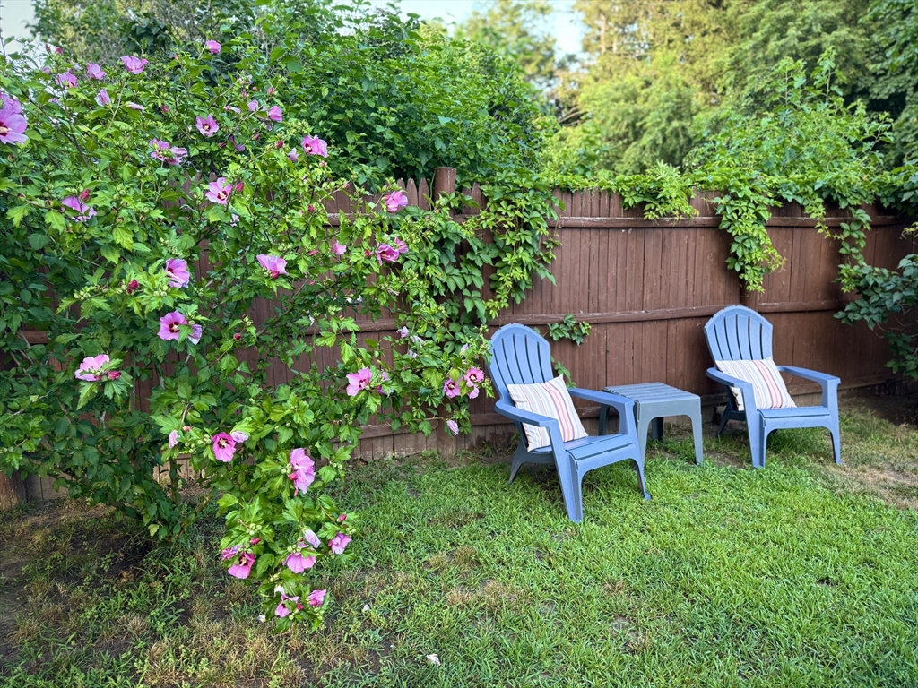 37 Sterling Street Lancaster, MA 01523 - Photo 31 of 33 a view of a backyard with plants and a bench
