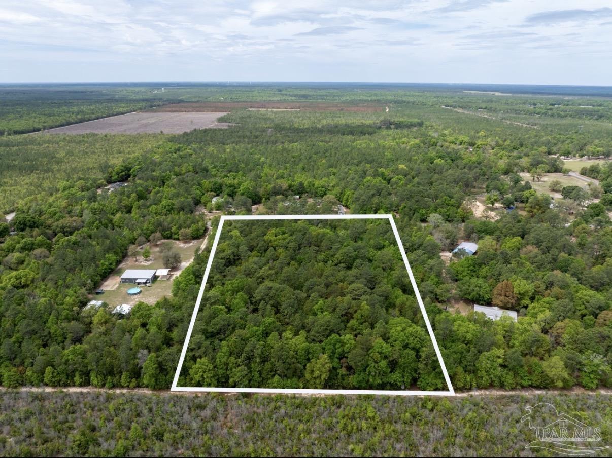 6512 Tracker Drive Milton, FL 32583 - Photo 3 of 18 a view of yard