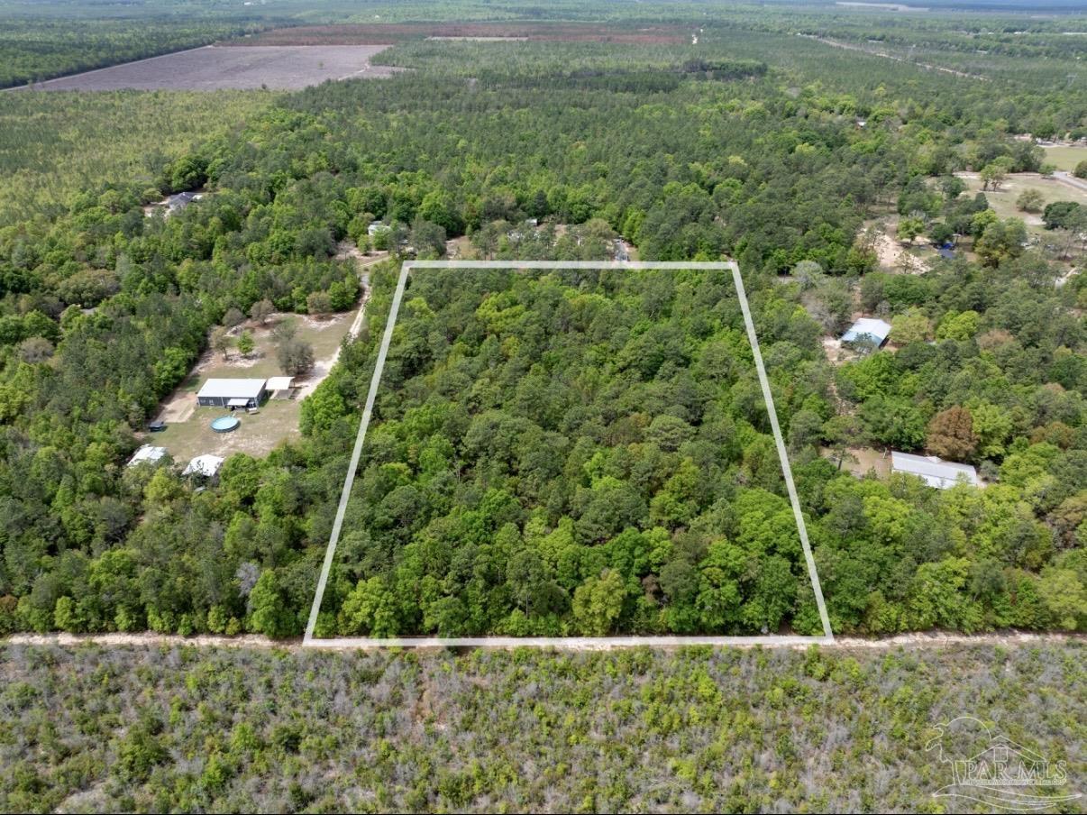 6512 Tracker Drive Milton, FL 32583 - Photo 4 of 18 a view of a yard
