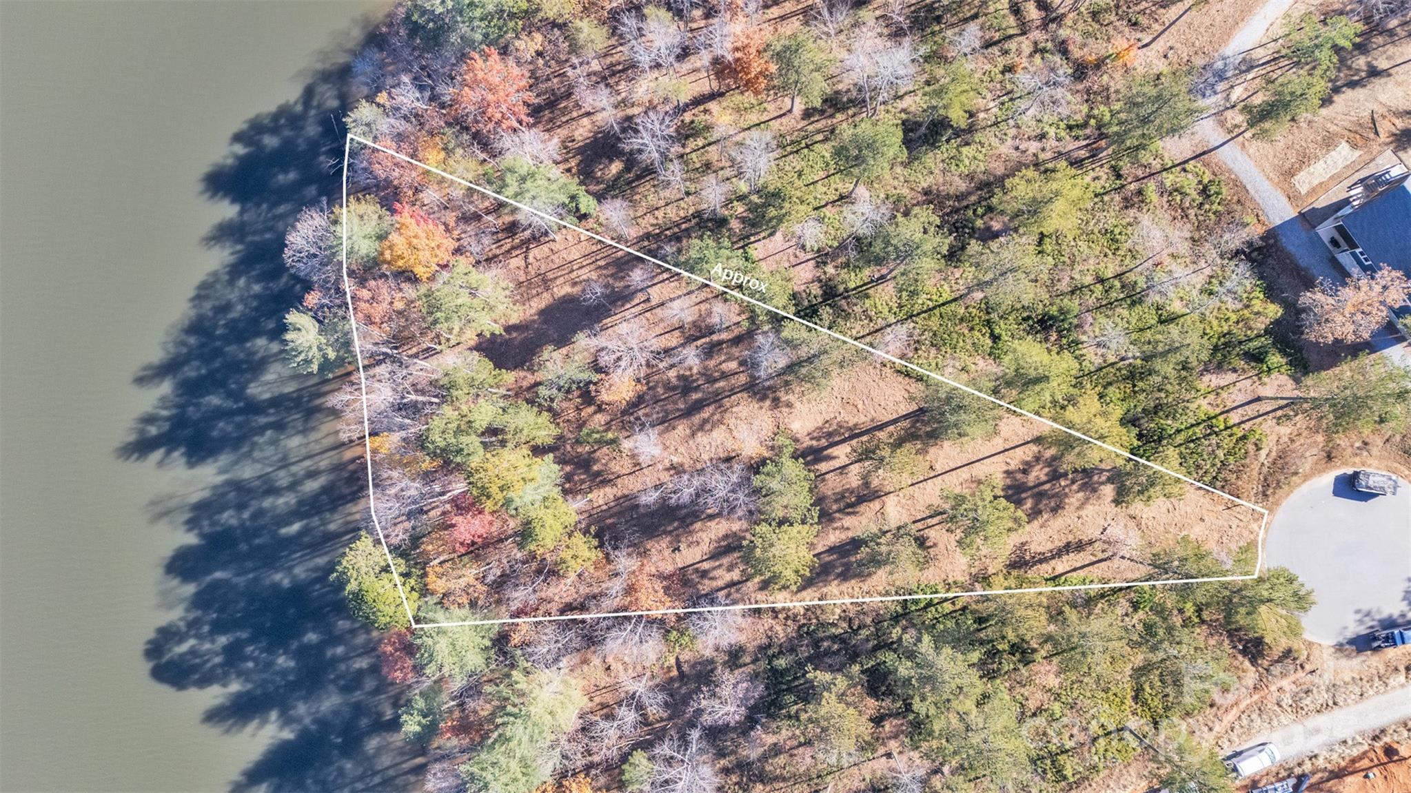 2242 Pikes Peak Ridge, Unit 159 Connelly Springs, NC 28612 - Photo 11 of 36 a picture of tree