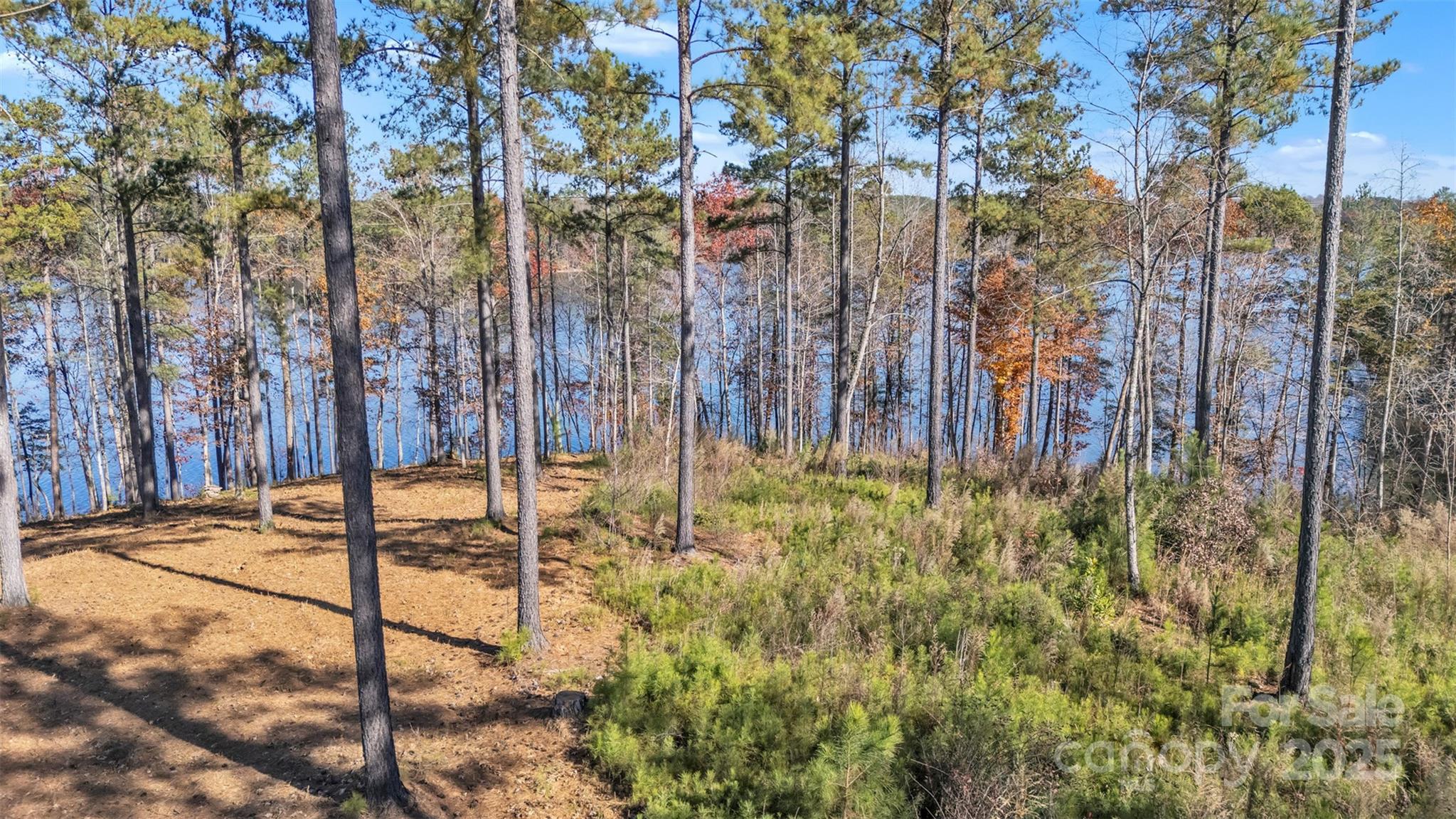 2242 Pikes Peak Ridge, Unit 159 Connelly Springs, NC 28612 - Photo 12 of 36 a view of a backyard of the building