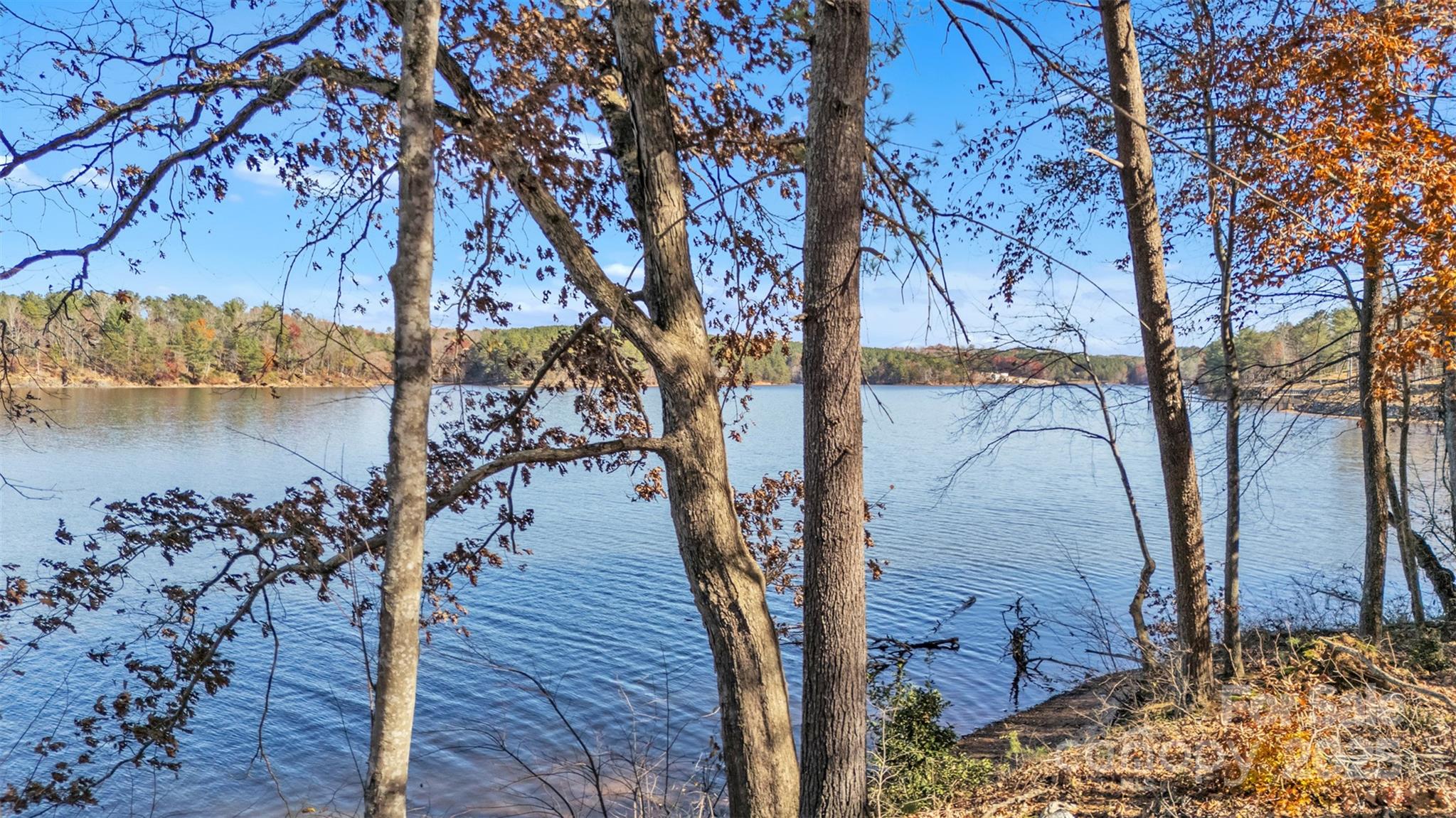 2242 Pikes Peak Ridge, Unit 159 Connelly Springs, NC 28612 - Photo 15 of 36 a view of a backyard of the house