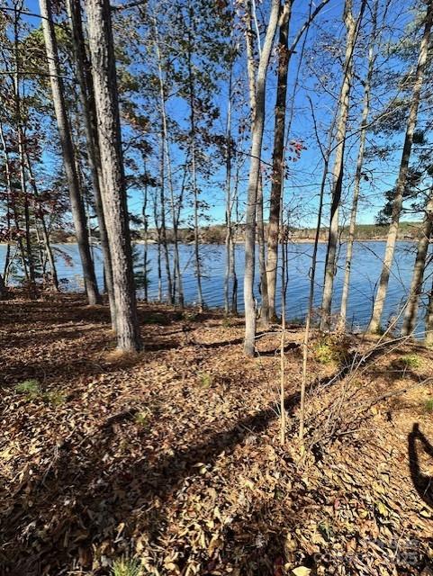 2242 Pikes Peak Ridge, Unit 159 Connelly Springs, NC 28612 - Photo 25 of 36 a view of a backyard of the house