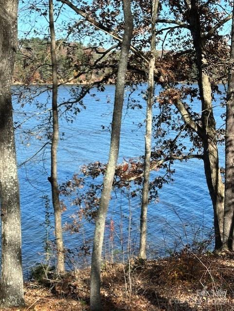 2242 Pikes Peak Ridge, Unit 159 Connelly Springs, NC 28612 - Photo 28 of 36 a tree in front of a brick wall