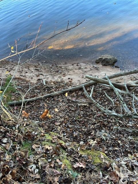 2242 Pikes Peak Ridge, Unit 159 Connelly Springs, NC 28612 - Photo 29 of 36 a view of outdoor space with wooden floor