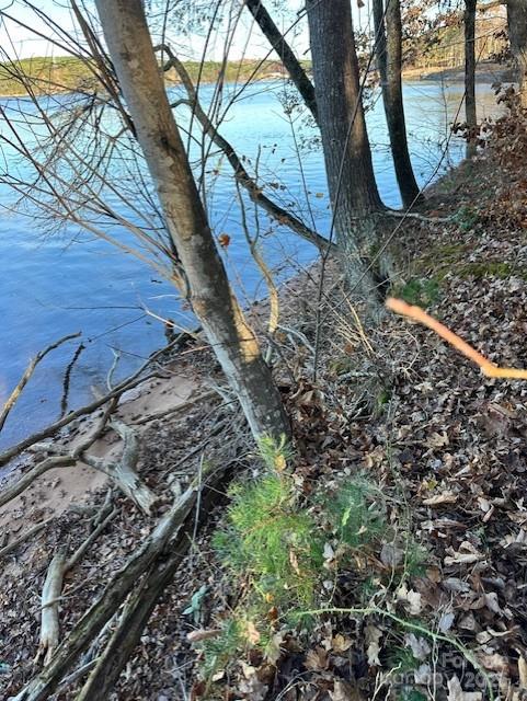 2242 Pikes Peak Ridge, Unit 159 Connelly Springs, NC 28612 - Photo 30 of 36 a backyard of a house with lots of green space