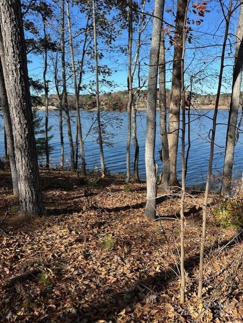 2242 Pikes Peak Ridge, Unit 159 Connelly Springs, NC 28612 - Photo 35 of 36 a view of a house with a yard