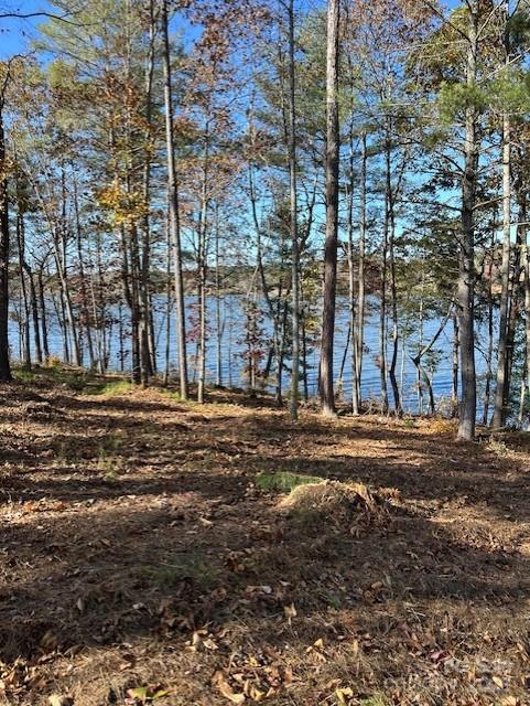 2242 Pikes Peak Ridge, Unit 159 Connelly Springs, NC 28612 - Photo 36 of 36 a view of a building with a street