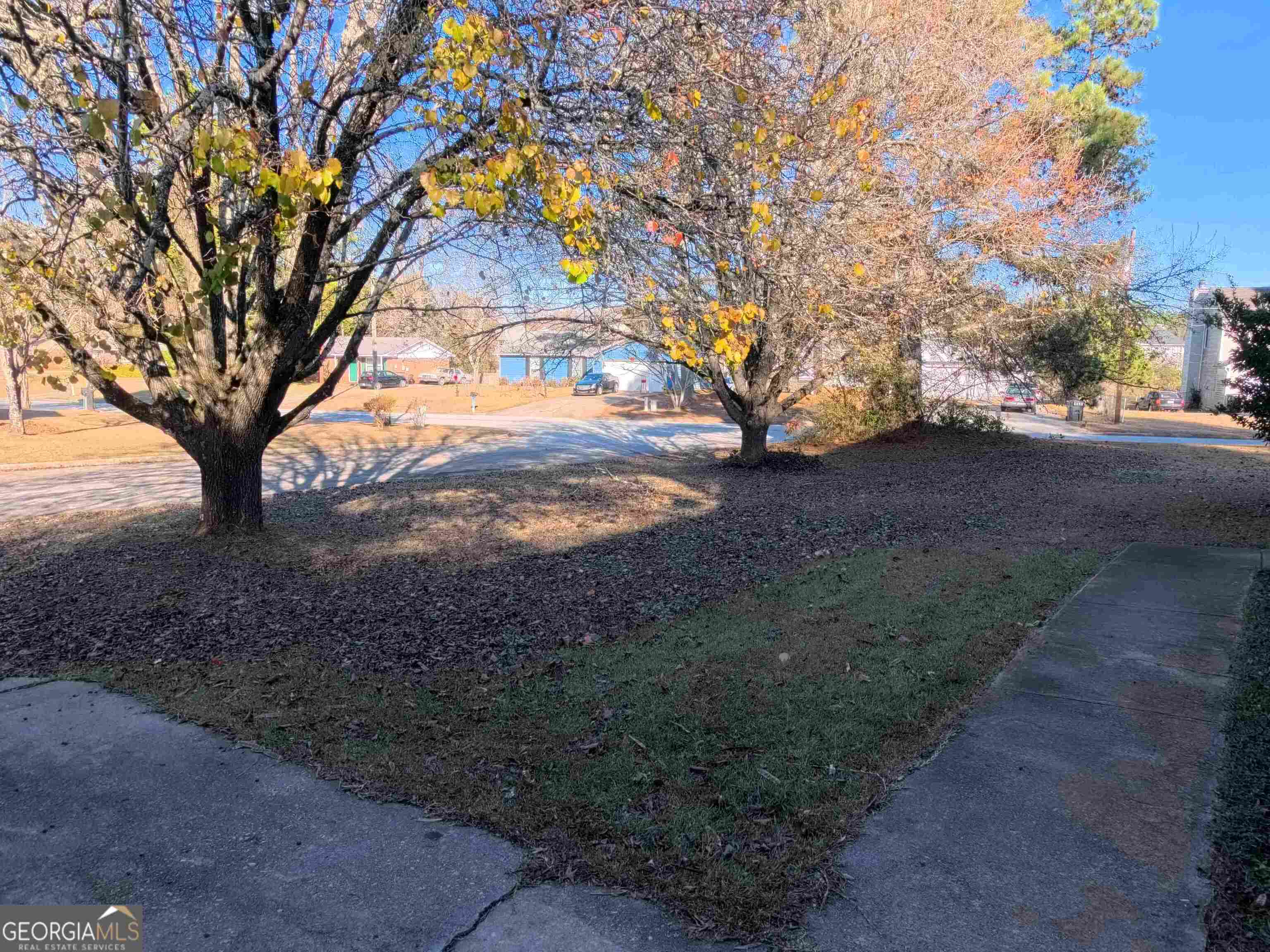 11187 Shannon Circle Hampton, GA 30228 - Photo 3 of 22 a view of dirt yard with a large tree