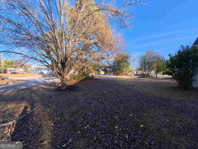 a view of dirt yard with a large tree