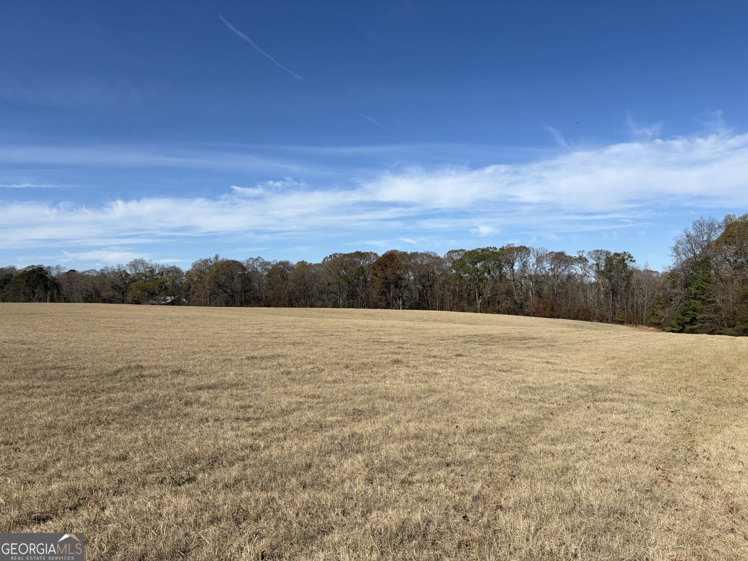 T1 Old Zebulon Road Forsyth, GA 31029 - Photo 92 of 112 Gallery Image 92