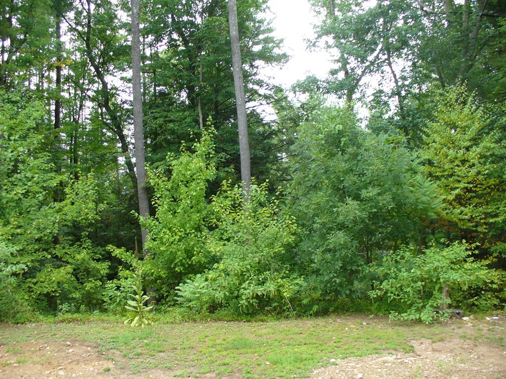 830 Bay Road Belchertown, MA 01007 - Photo 17 of 17
