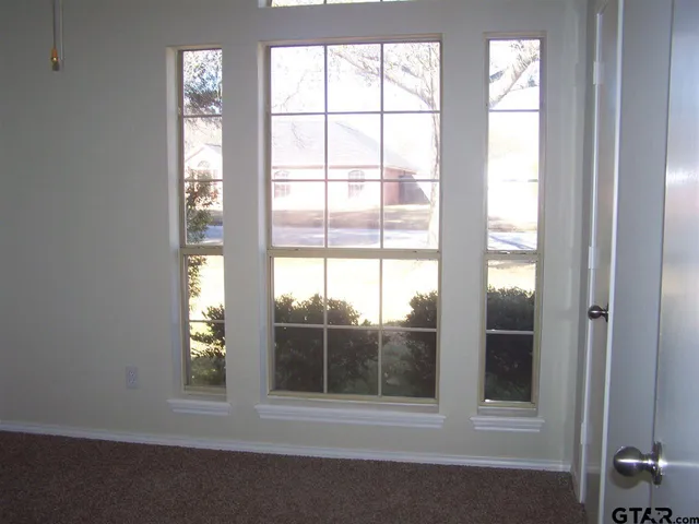 an outdoor view from window