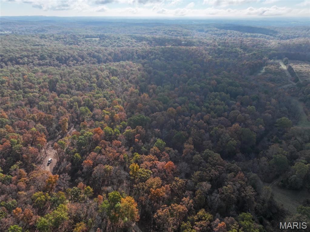 0 Tower Road Bonne Terre, MO 63628 - Photo 1 of 28