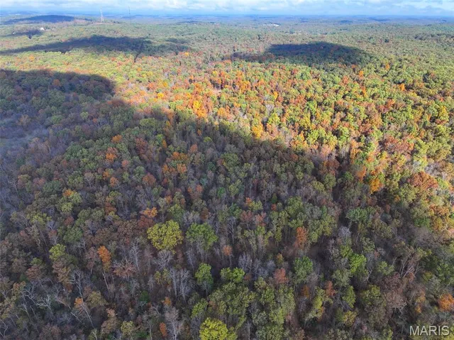 $450,000 | 0 Tower Road, Bonne Terre, MO 63628