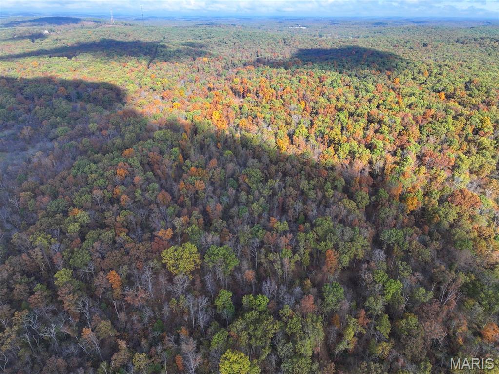 0 Tower Road Bonne Terre, MO 63628 - Photo 11 of 28