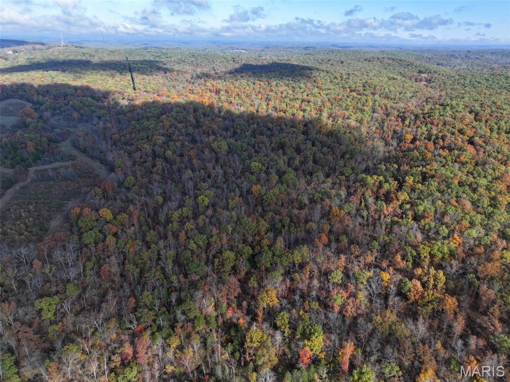 0 Tower Road Bonne Terre, MO 63628 - Photo 12 of 28